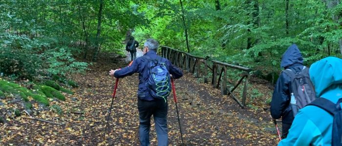 via-francigena-in-tuscia2