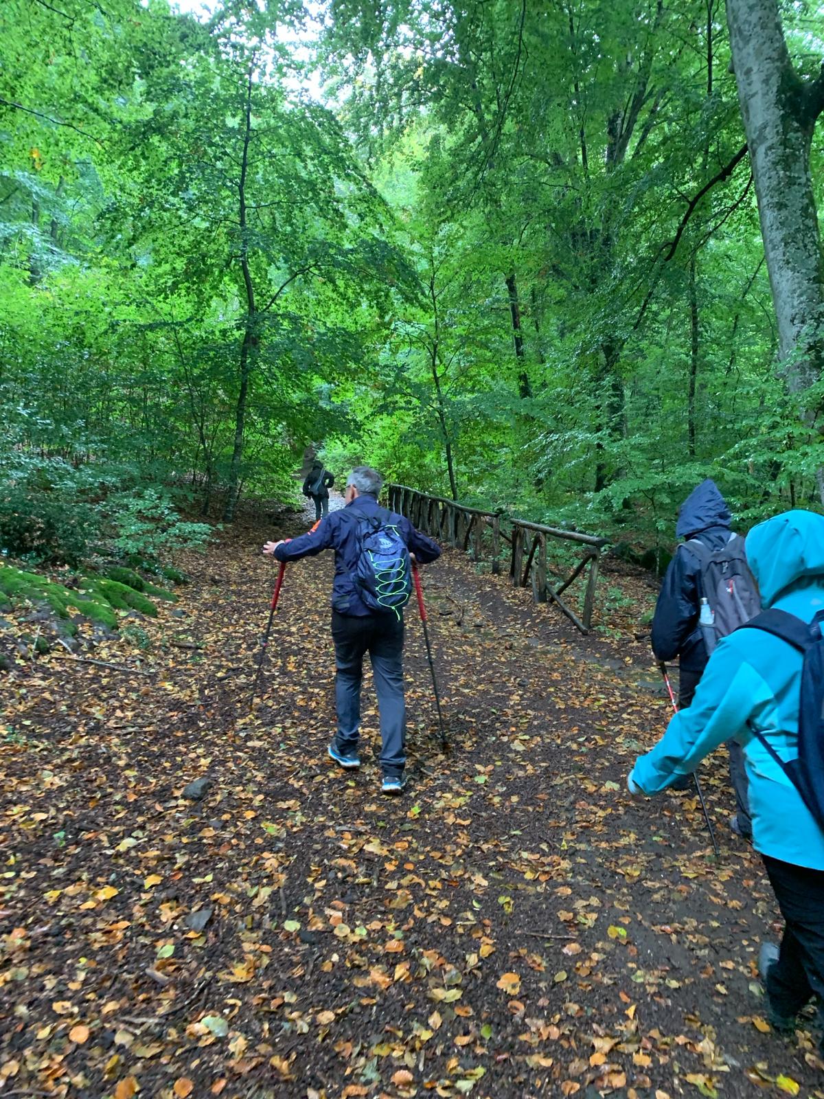 Via Francigena